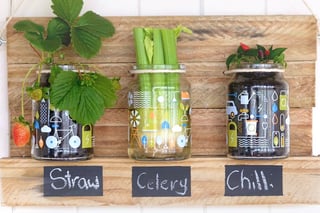 moccona jar inspiration hanging veggie garden teaser