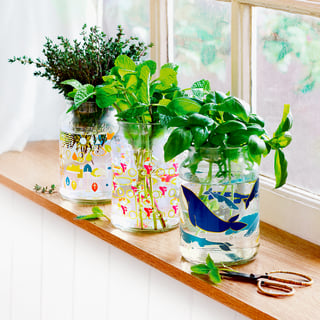 moccona jar inspiration herb watergarden