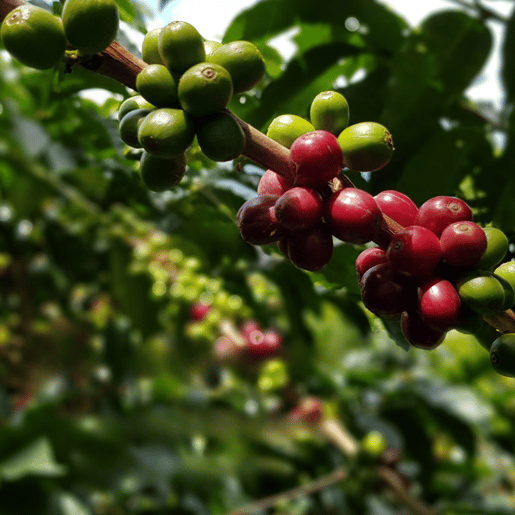 sustainability banner nature mobile